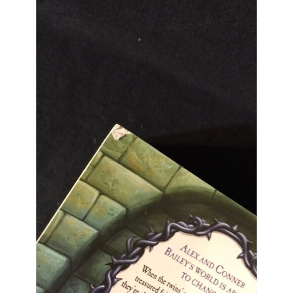 The Land of Stories by Chris Colfer Soft Cover - Picture 5 of 6